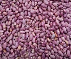 Kabulangeti beans