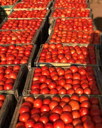 Crate Of Tomatoes