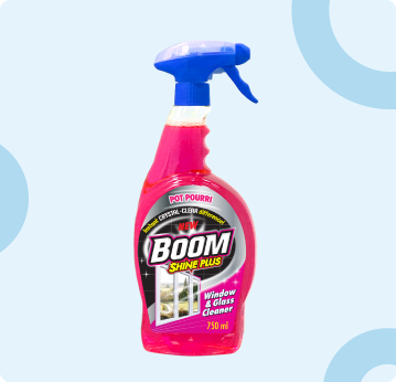Boom Window and Glass Cleaner