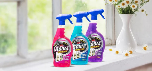 Boom Window and Glass Cleaner